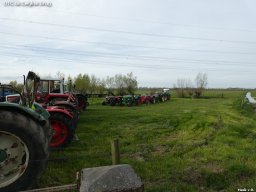 WS 155